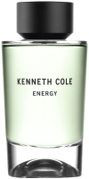 Туалетная вода Kenneth Cole Energy (100мл) - 