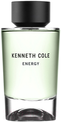 Туалетная вода Kenneth Cole Energy (100мл)