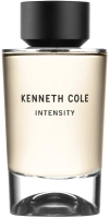 Туалетная вода Kenneth Cole Intensity (100мл) - 