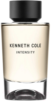 Туалетная вода Kenneth Cole Intensity (100мл)