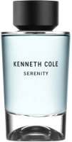 Туалетная вода Kenneth Cole Serenity (100мл) - 