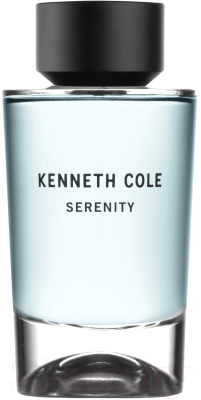 Туалетная вода Kenneth Cole Serenity (100мл)
