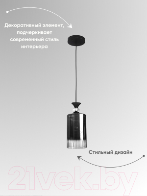 Потолочный светильник Aitin-Pro НСБ 01-60-101 / N5355/1H (черный)