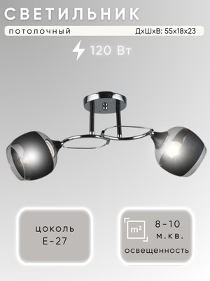 Потолочный светильник Aitin-Pro НПБ 02-2x60-101 / A3791/2 (хром/черный) -