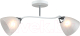 Потолочный светильник Aitin-Pro НПБ 02-2x60-101 / C1706/2 (белый/хром) - 