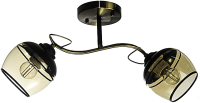 Потолочный светильник Aitin-Pro НПБ 02-2x60-101 / C1727/2 (бронза/черный) - 