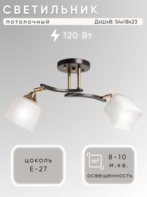 Потолочный светильник Aitin-Pro НПБ 02-2x60-101 / N5276/2 (кофе/золото) -