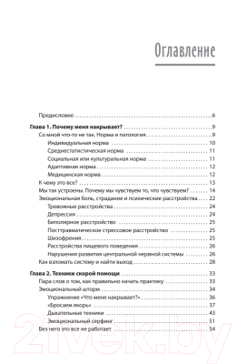 Книга Питер Эмоциональный шторм: что делать, когда тебя накрывает (Барышев А.Н.)