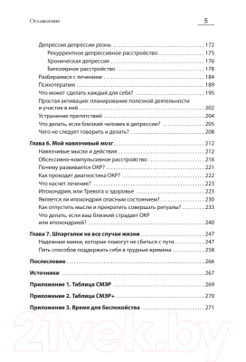 Книга Питер Эмоциональный шторм: что делать, когда тебя накрывает (Барышев А.Н.)