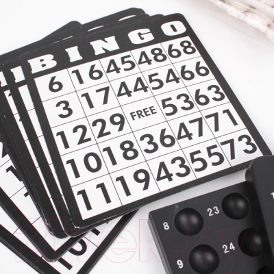Настольная игра Darvish Bingo / SR-T-3572