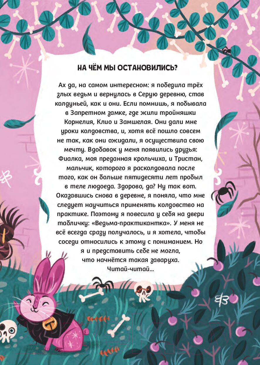 Художественная книга Попурри Мальварина. Ведьма-практикантка (Изерн С., Пройетти Л.) — фото 3
