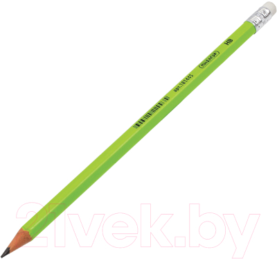 Набор простых карандашей Пифагор 880433 (100шт)