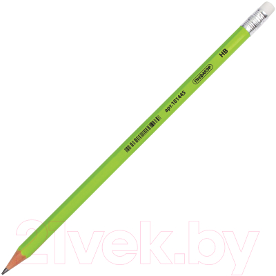 Набор простых карандашей Пифагор 880433 (100шт)