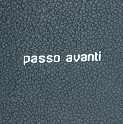 Сумка Passo Avanti 915-8518-NAV (синий)