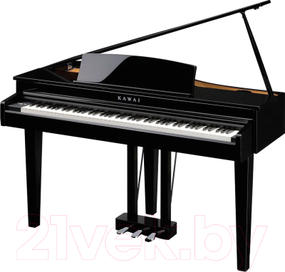 Изображение товара Цифровой рояль Kawai DG30 EP (с банкеткой)