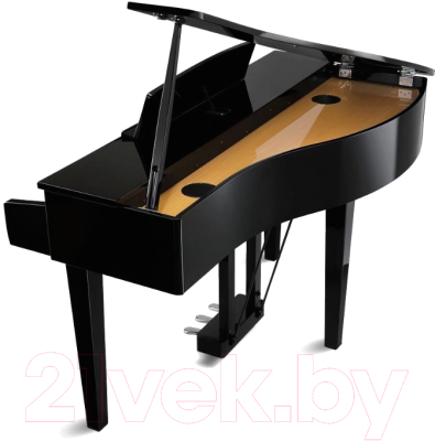Изображение товара Цифровой рояль Kawai DG30 EP (с банкеткой)