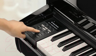 Изображение товара Цифровой рояль Kawai DG30 EP (с банкеткой)