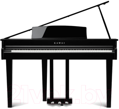 Изображение товара Цифровой рояль Kawai DG30 EP (с банкеткой)