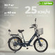 Электровелосипед MyWay Truck 350 24 (15, темно-синий) -