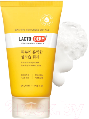 Гель для умывания CKD Lactoderm Beneficial Moisturizing Skin Wash (120мл)