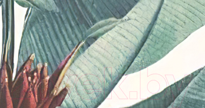 Фотообои листовые ФабрикаФресок Тропические пальмовые листья / 271270 (100x270)
