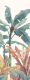 Фотообои листовые ФабрикаФресок Тропические пальмовые листья / 271270 (100x270) - 