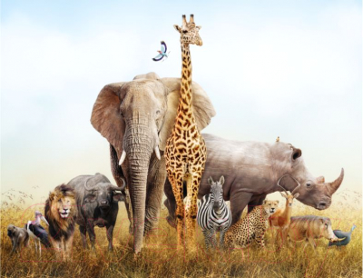 Фотообои листовые ФабрикаФресок Африканские звери / 481301 (130x100)