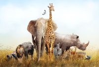 Фотообои листовые ФабрикаФресок Африканские звери / 484270 (400x270) - 