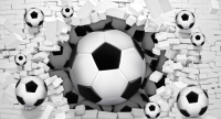Фотообои листовые ФабрикаФресок Футбольные мячи из стены / 725270 (500x270) - 