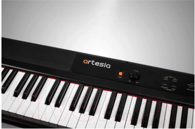 Цифровое фортепиано Artesia Performer (черный)