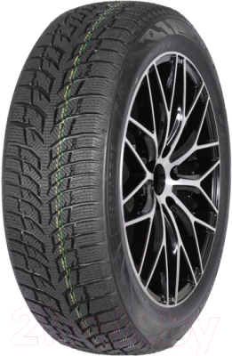 Зимняя шина Autogreen Snow Chaser 2 AW08 225/55R16 95H