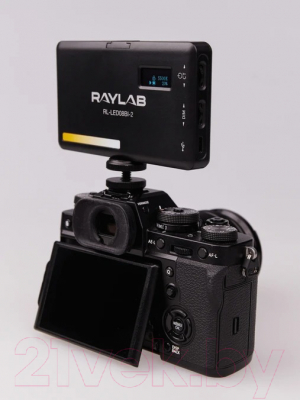 Осветитель студийный RayLab RL-LED08BI-2 