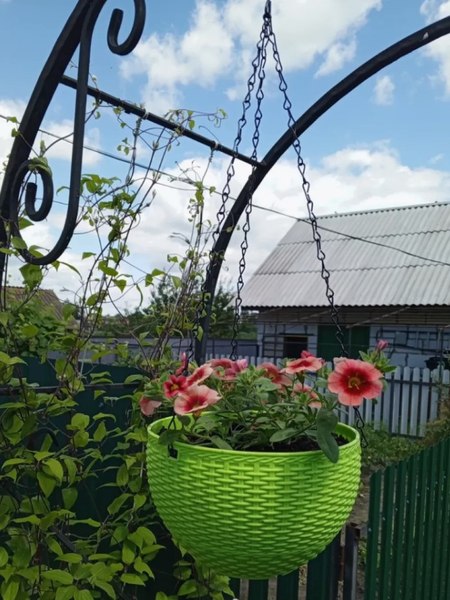 Кашпо BOTANICA Rattan (21x13.5см, зеленый)