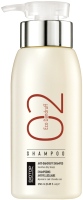 Шампунь для волос Biotop 02 Eco Dandruff Shampoo Против перхоти (250мл) - 