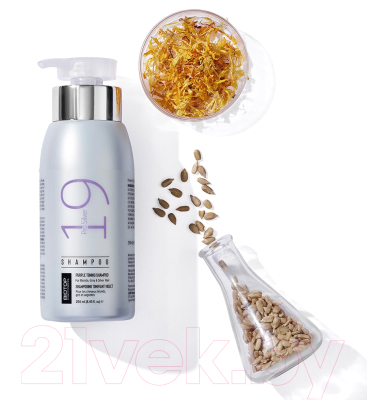 Оттеночный шампунь для волос Biotop 19 Pro Silver Shampoo Против желтизны волос (250мл)