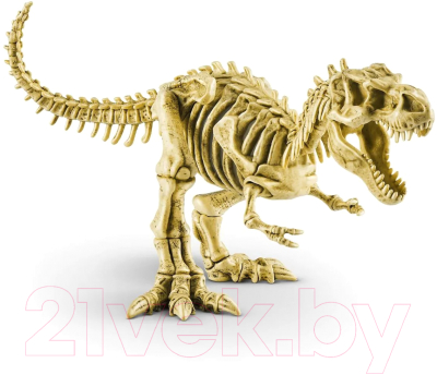 Набор для опытов Zuru Robo Alive Раскопки Динозавра / 71102