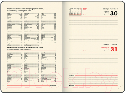 Ежедневник Brauberg Flap 2024 / 114969 (черный)