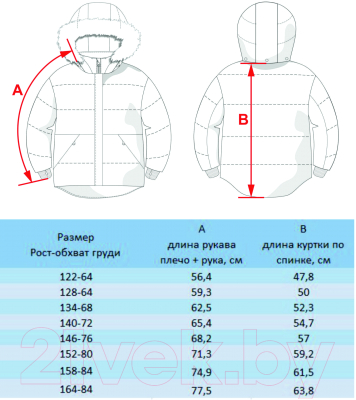 Куртка детская Batik Ася / 519-23в-2 (р-р 164-84, лиловый перламутр)