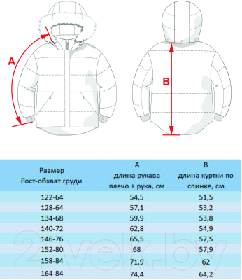 Куртка детская Batik Канди / 520-23в-2 (р-р 152-80, экрю)