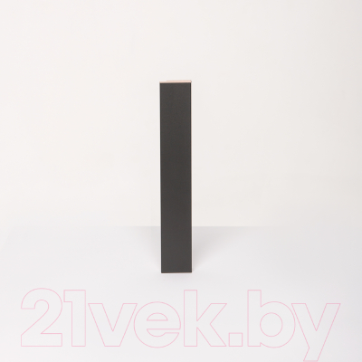 Изображение товара Финишная рейка для реечной панели Andlen Decor ПНп-37 Блэк (2800x32x19мм, правая)