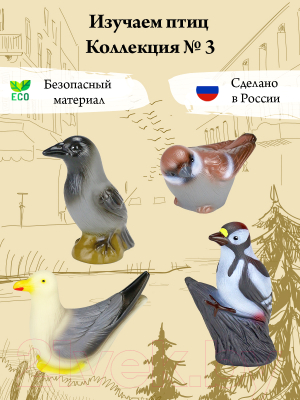 Набор фигурок игровых Весна Изучаем птиц / 9854476