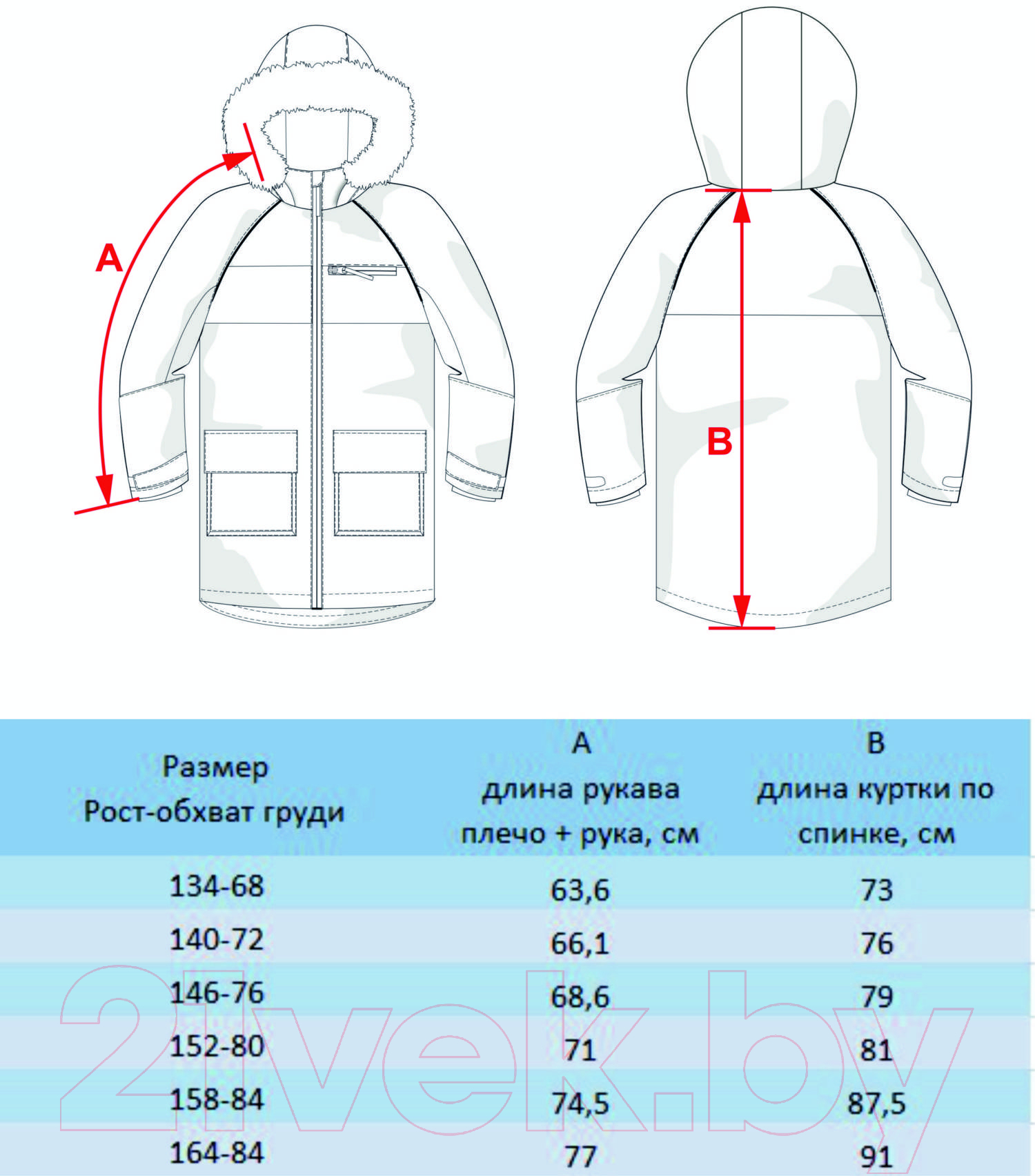 Ветровка детская Batik Джун / 531-23в-2