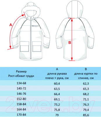 Куртка детская Batik Валенсия 532-23в-1 (р-р 152-80, голубой)