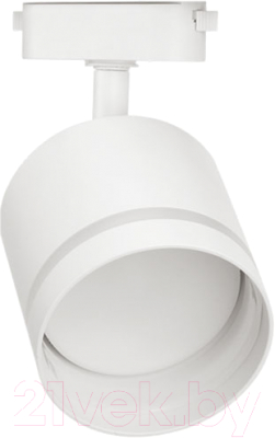 Трековый светильник INhome TR-GX53-TL 54RW GX53 / 4690612043791 (белый)