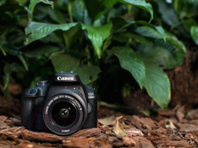 Зеркальный фотоаппарат Canon EOS 4000D Kit 18-55 III