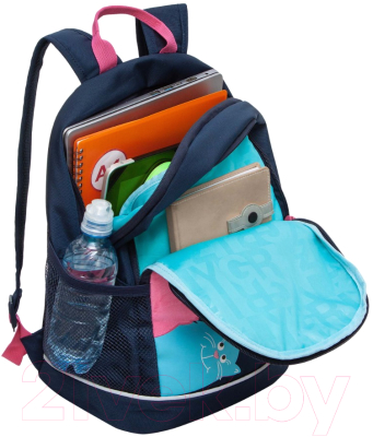 Школьный рюкзак Grizzly RG-463-6 (синий)