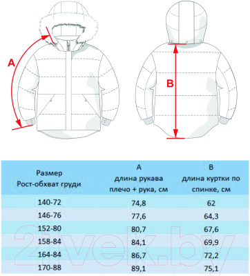 Куртка детская Batik Керо / 546-23в-1 (р-р 152-80, черный)