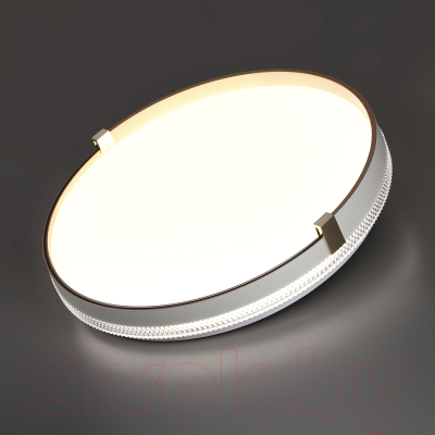 Потолочный светильник Sonex Pale 7646/DL