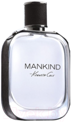 Туалетная вода Kenneth Cole Mankind (200мл)