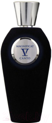 Парфюмерная вода V Canto Magnificat (100мл)